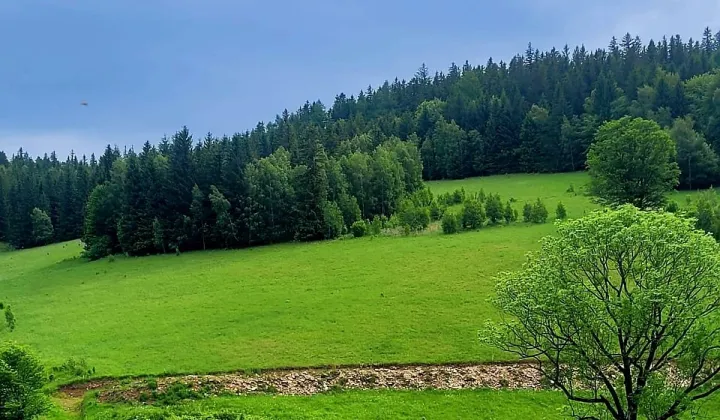 Działka budowlana Nowy Gierałtów