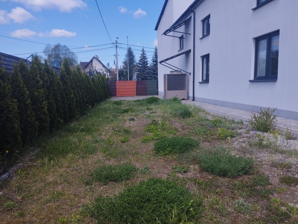 Hala/magazyn Drzewica. Zdjęcie 13