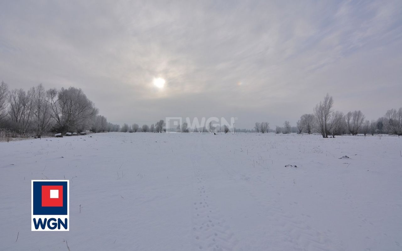 Działka rolna Markusy. Zdjęcie 6