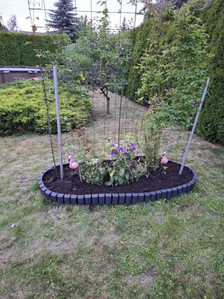 Działka rod Kozienice. Zdjęcie 5