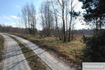 Działka rolno-budowlana Bietowo. Zdjęcie 2