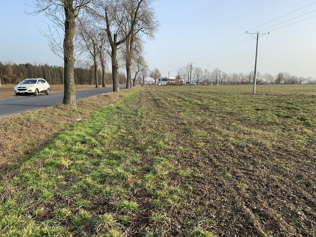 Działka budowlana Stary Widzim. Zdjęcie 2