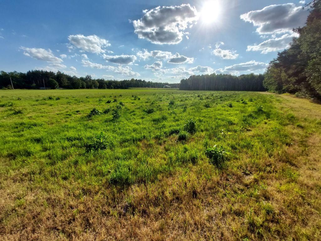 Działka rolno-budowlana Zamęty. Zdjęcie 9