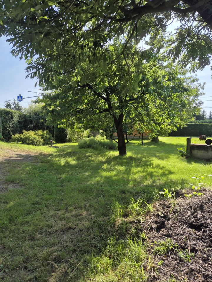 dom wolnostojący, 4 pokoje Krępa. Zdjęcie 8