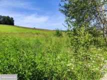 Działka budowlana Dzikowiec. Zdjęcie 4