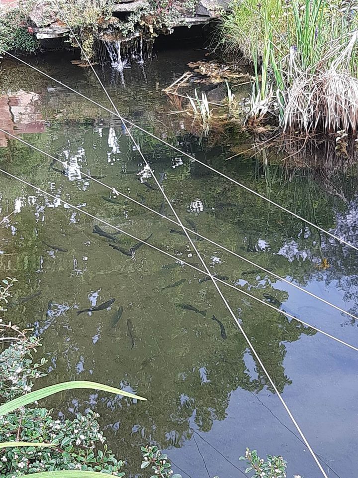 Działka rod Nowy Sącz Wólki, ul. Jadwigi Wolskiej. Zdjęcie 14