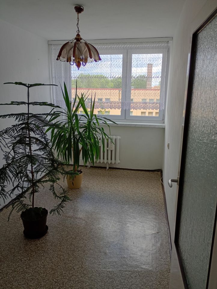 Mieszkanie 3-pokojowe Pyskowice, ul. Szpitalna. Zdjęcie 4