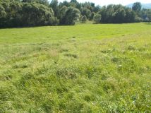 Działka rekreacyjna Wieprz. Zdjęcie 4