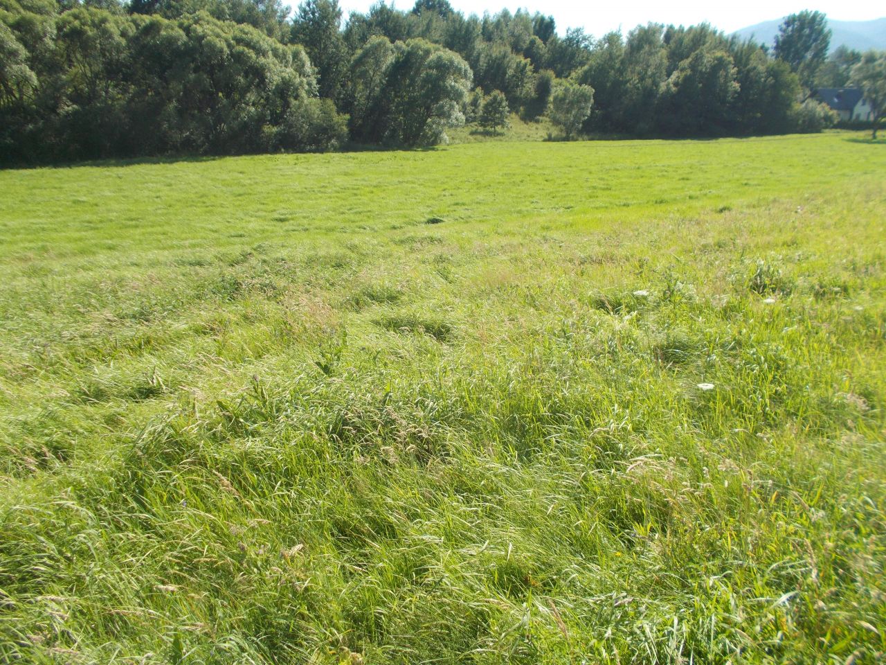 Działka rekreacyjna Wieprz. Zdjęcie 5