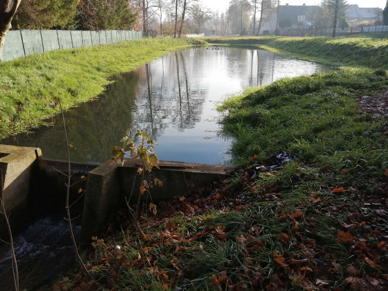 Działka budowlana Lubanice. Zdjęcie 4