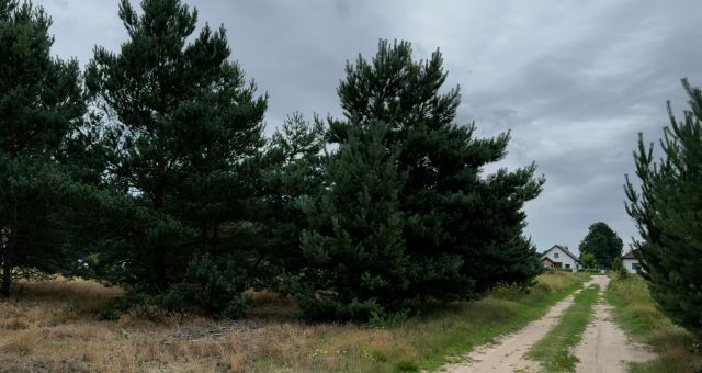 Działka budowlana Małe Rudy, ul. Szlak Królewski. Zdjęcie 1