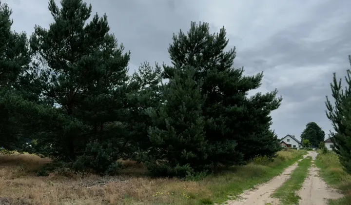 Działka budowlana Małe Rudy, ul. Szlak Królewski