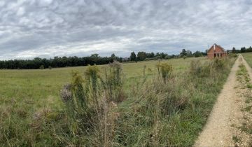 Działka budowlana Przeczyce