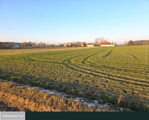 Działka rolno-budowlana Reńsko, ul. Polna. Zdjęcie 1