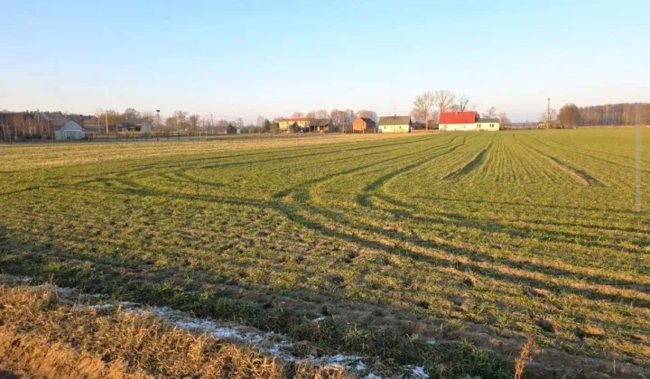 Działka rolno-budowlana Reńsko, ul. Polna