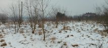 Działka budowlana Pisarzowice. Zdjęcie 4
