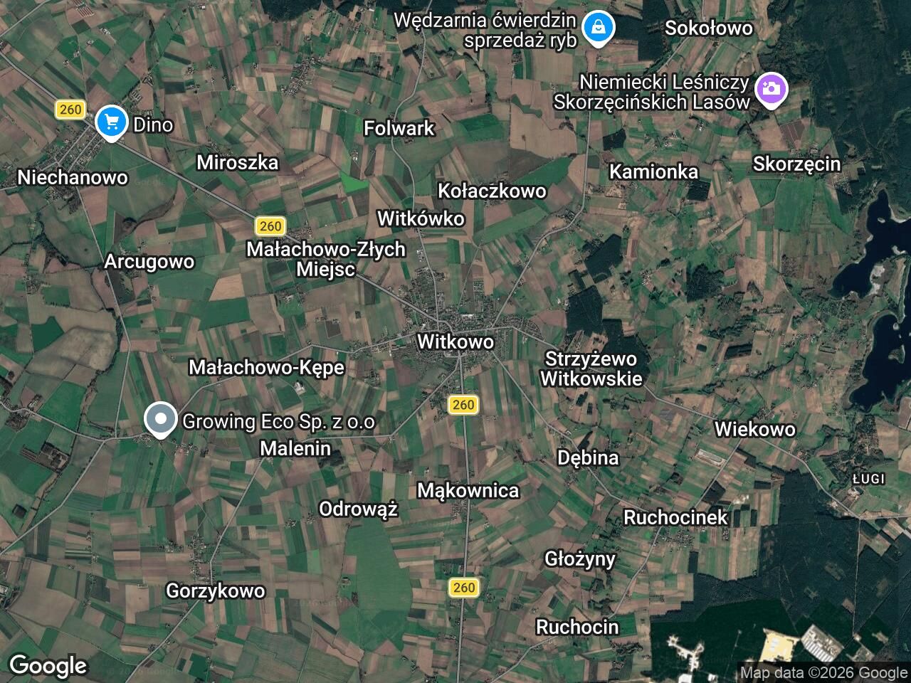 Działka budowlana Witkowo. Zdjęcie 1