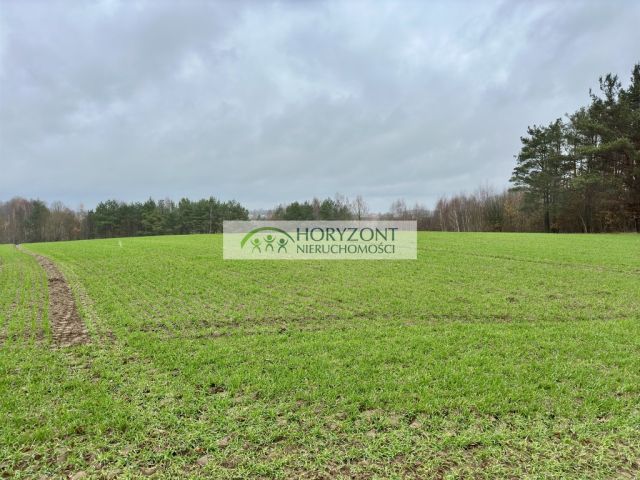 Działka budowlana Miszewo. Zdjęcie 8