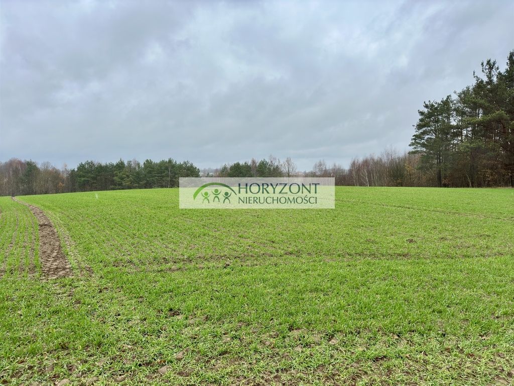 Działka budowlana Miszewo. Zdjęcie 8