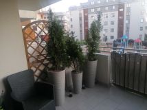 Mieszkanie 3-pokojowe Ełk, ul. Juliana Tuwima. Zdjęcie 4