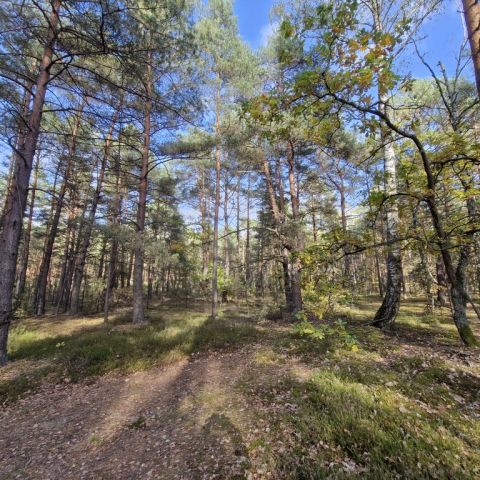 Działka rekreacyjna Osiedle Wilga, ul. Podgrzybków. Zdjęcie 2
