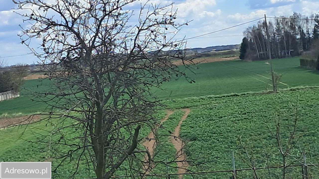 Działka budowlana Michałowice. Zdjęcie 3