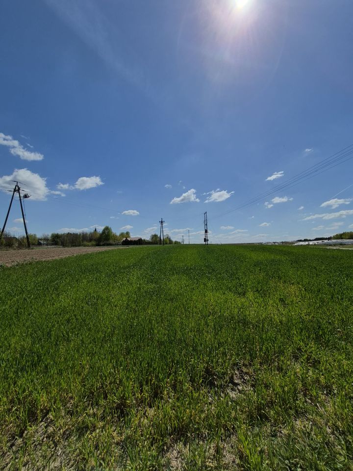 Działka rolno-budowlana Helenów, Brak. Zdjęcie 4