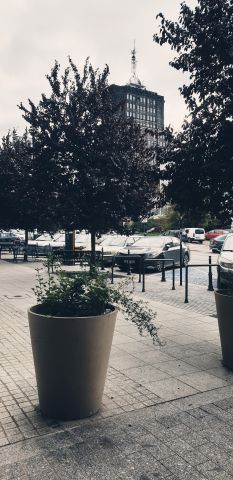 Mieszkanie 2-pokojowe Łódź Śródmieście, ul. Prezydenta Gabriela Narutowicza. Zdjęcie 10
