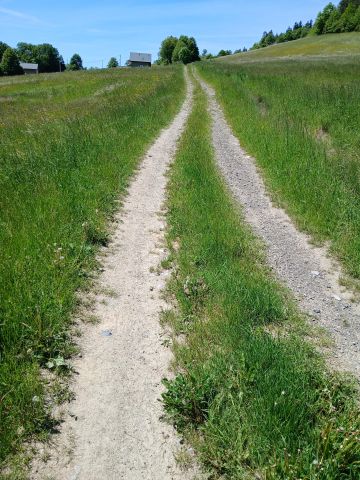 Działka budowlana Nowe Rybie. Zdjęcie 1