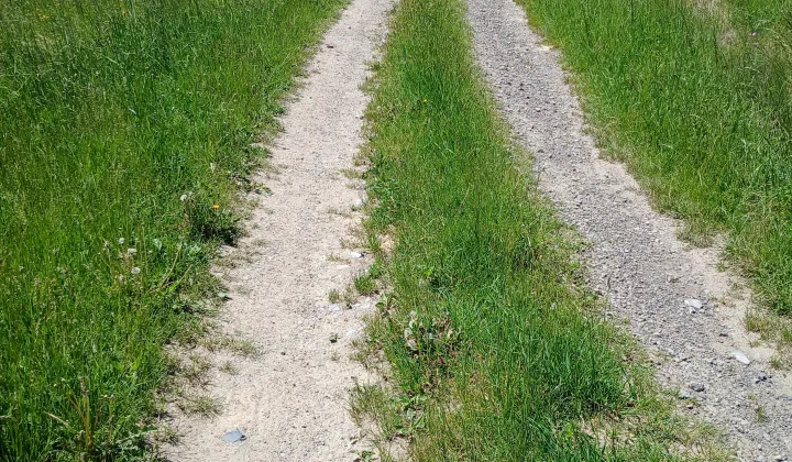 Działka budowlana Nowe Rybie