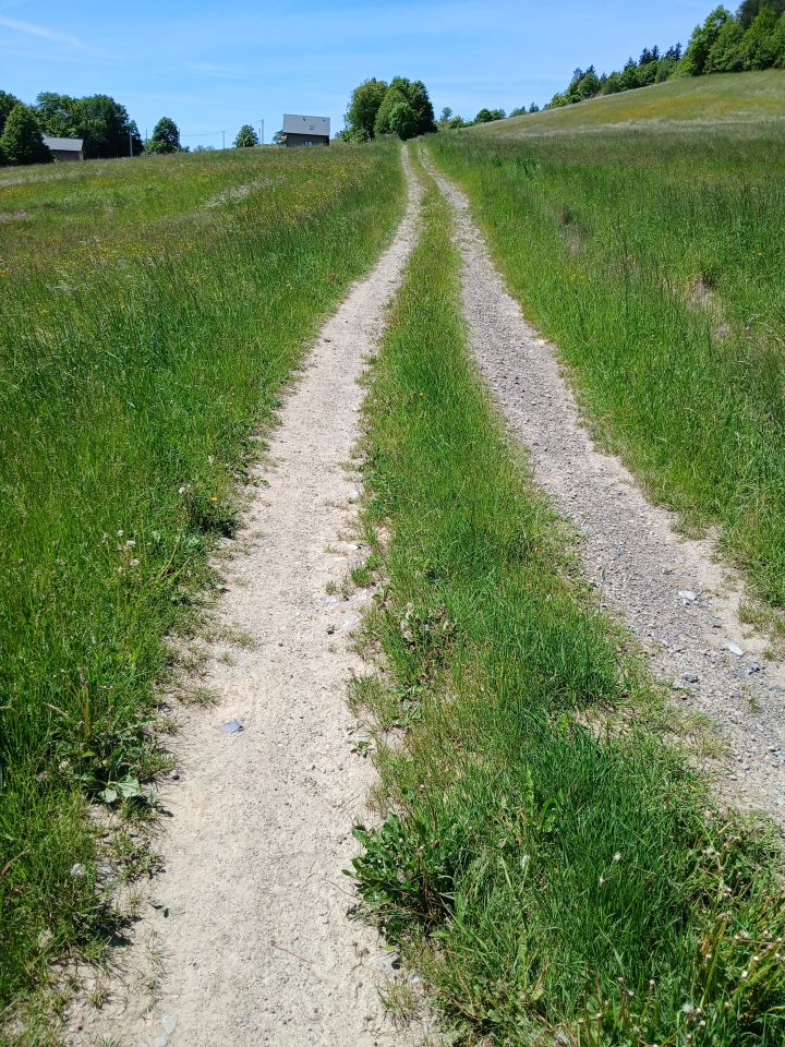 Działka budowlana Nowe Rybie. Zdjęcie 1