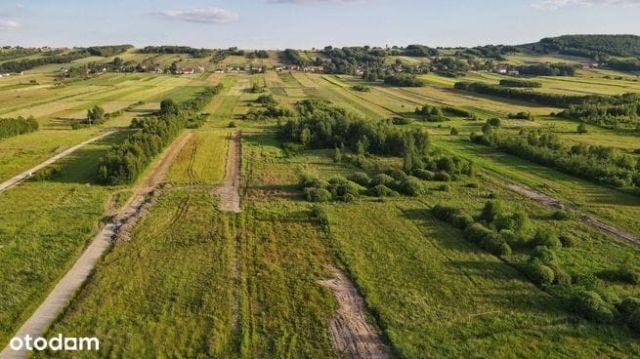 Działka budowlana Wilków. Zdjęcie 1