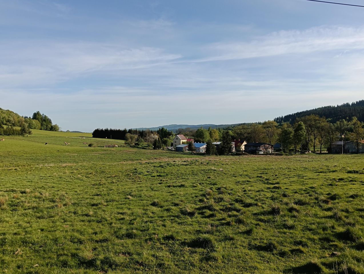 Działka budowlana Dworki. Zdjęcie 10