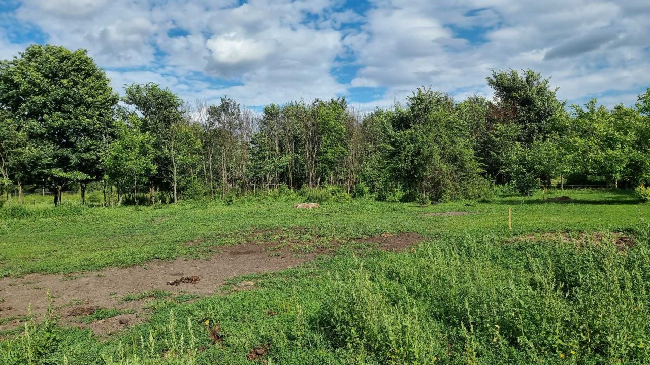 Grund, 3040 m²