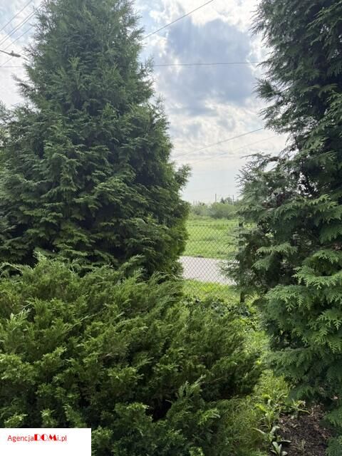 dom wolnostojący, 4 pokoje Błonie, ul. Harcerska. Zdjęcie 3