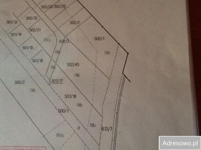 Działka inwestycyjna Paszowice. Zdjęcie 6