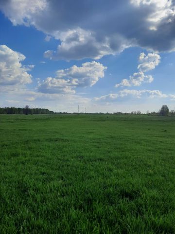 Działka rolno-budowlana Puznówka. Zdjęcie 1