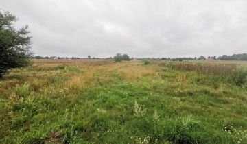 Działka budowlana Suszno, ul. Bazyliowa