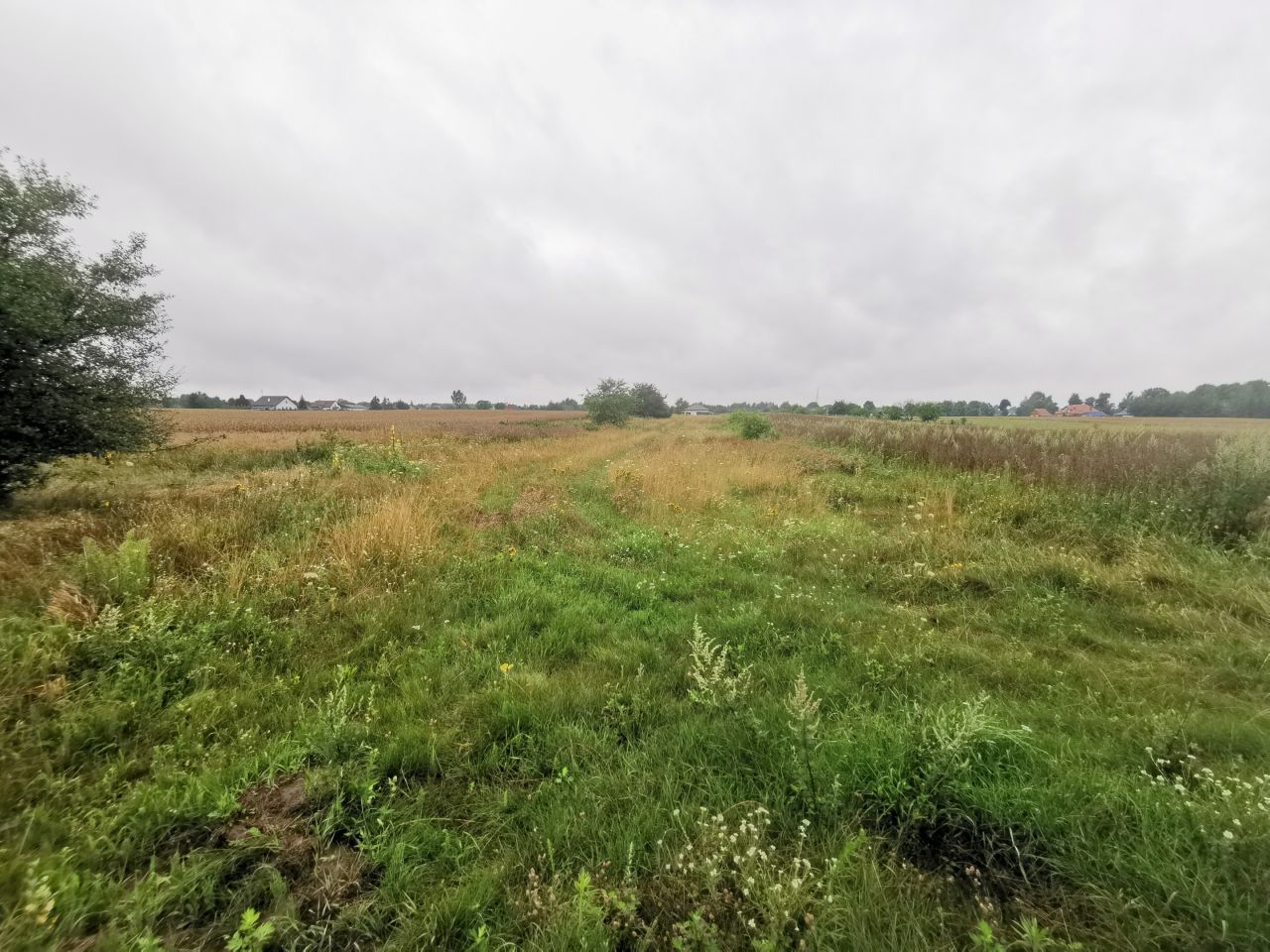 Działka budowlana Suszno, ul. Bazyliowa. Zdjęcie 2