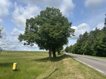 Działka rolno-budowlana Nowogard, ul. Bohaterów Warszawy. Zdjęcie 3