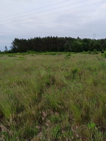 Działka rolno-budowlana Słomin. Zdjęcie 1