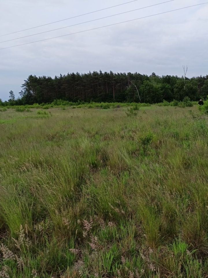 Działka rolno-budowlana Słomin