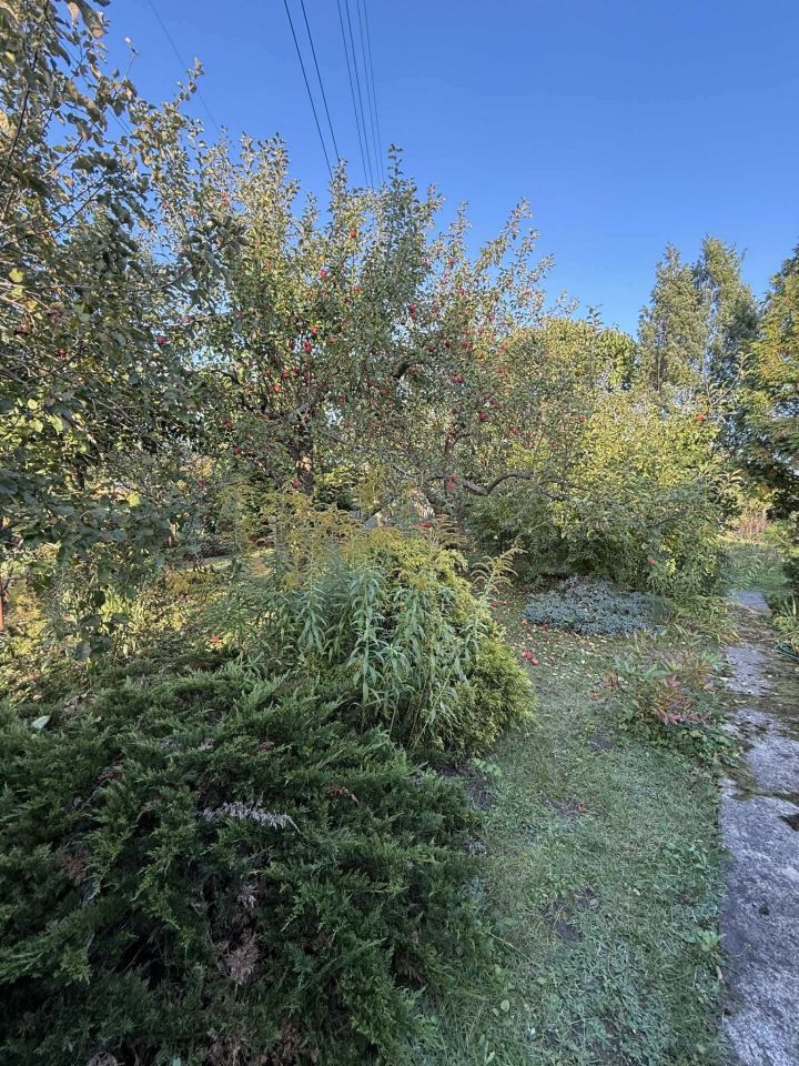 Działka rod Bełchatów. Zdjęcie 6