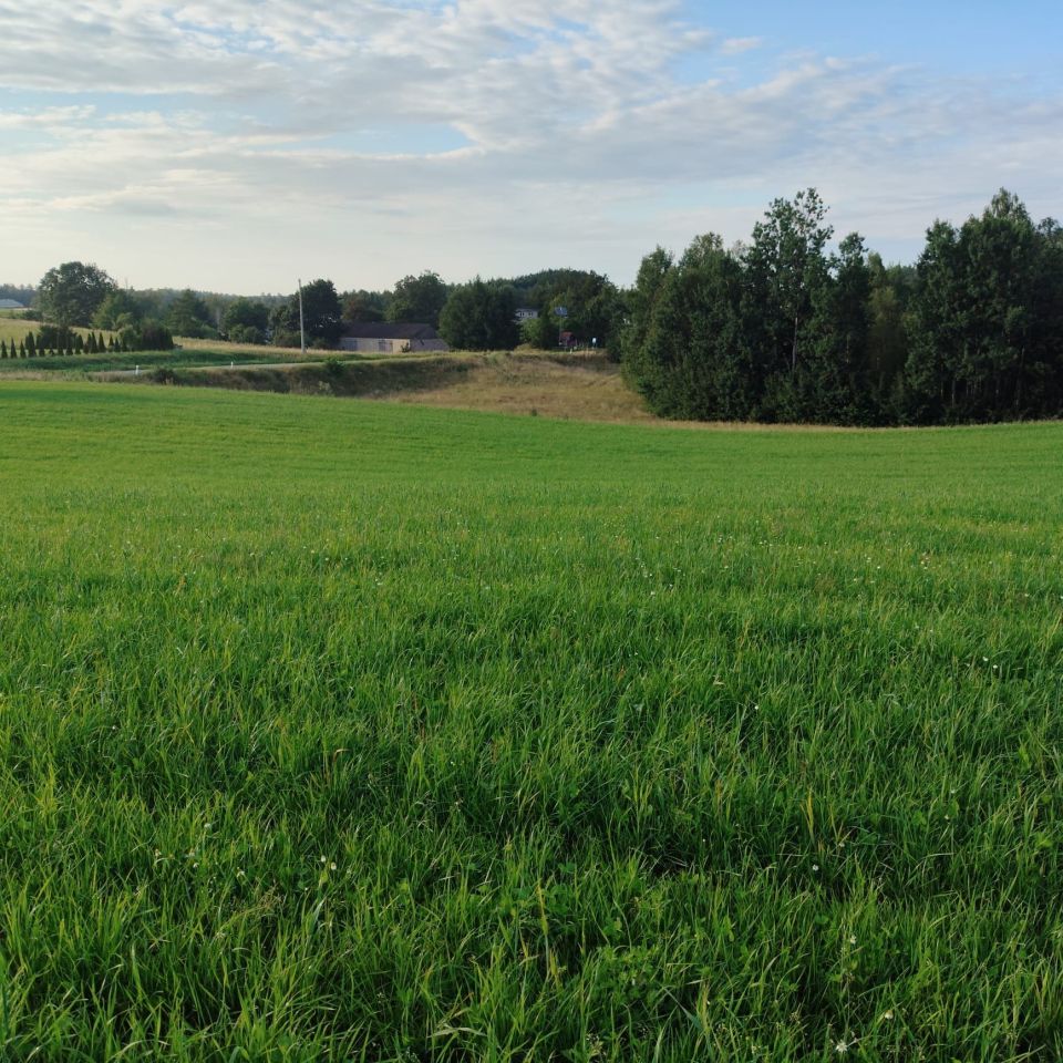 Działka rolno-budowlana Pieski. Zdjęcie 8