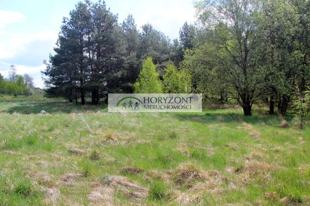 Działka budowlana Sitno. Zdjęcie 5