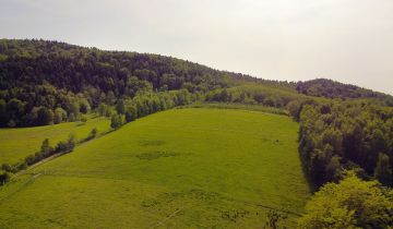 Działka na sprzedaż Słona  1955 m2