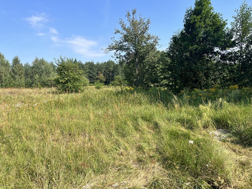 Bester Döner In Hamm Döner Turka Działka Turka, bez pośrednika - 1000 m2 - 55 000 zł