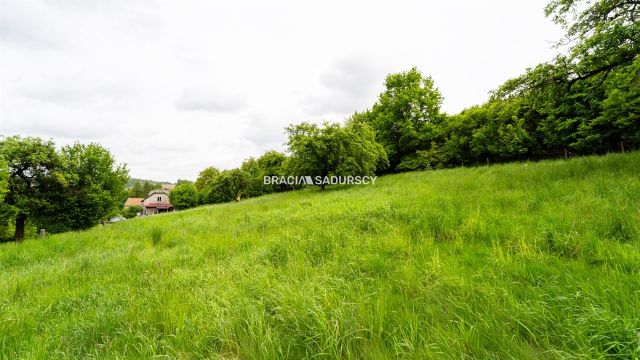 Działka inwestycyjna Czerna. Zdjęcie 13