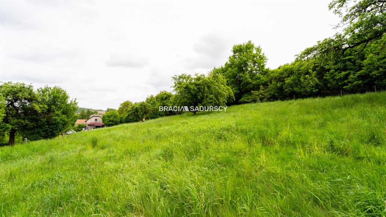 Działka inwestycyjna Czerna. Zdjęcie 13