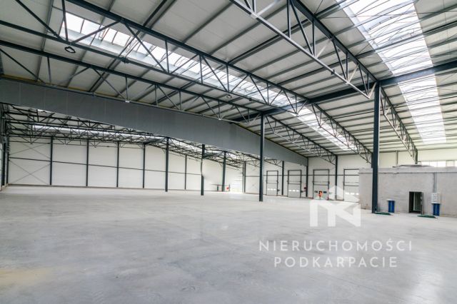 Hala/magazyn Rzeszów. Zdjęcie 5